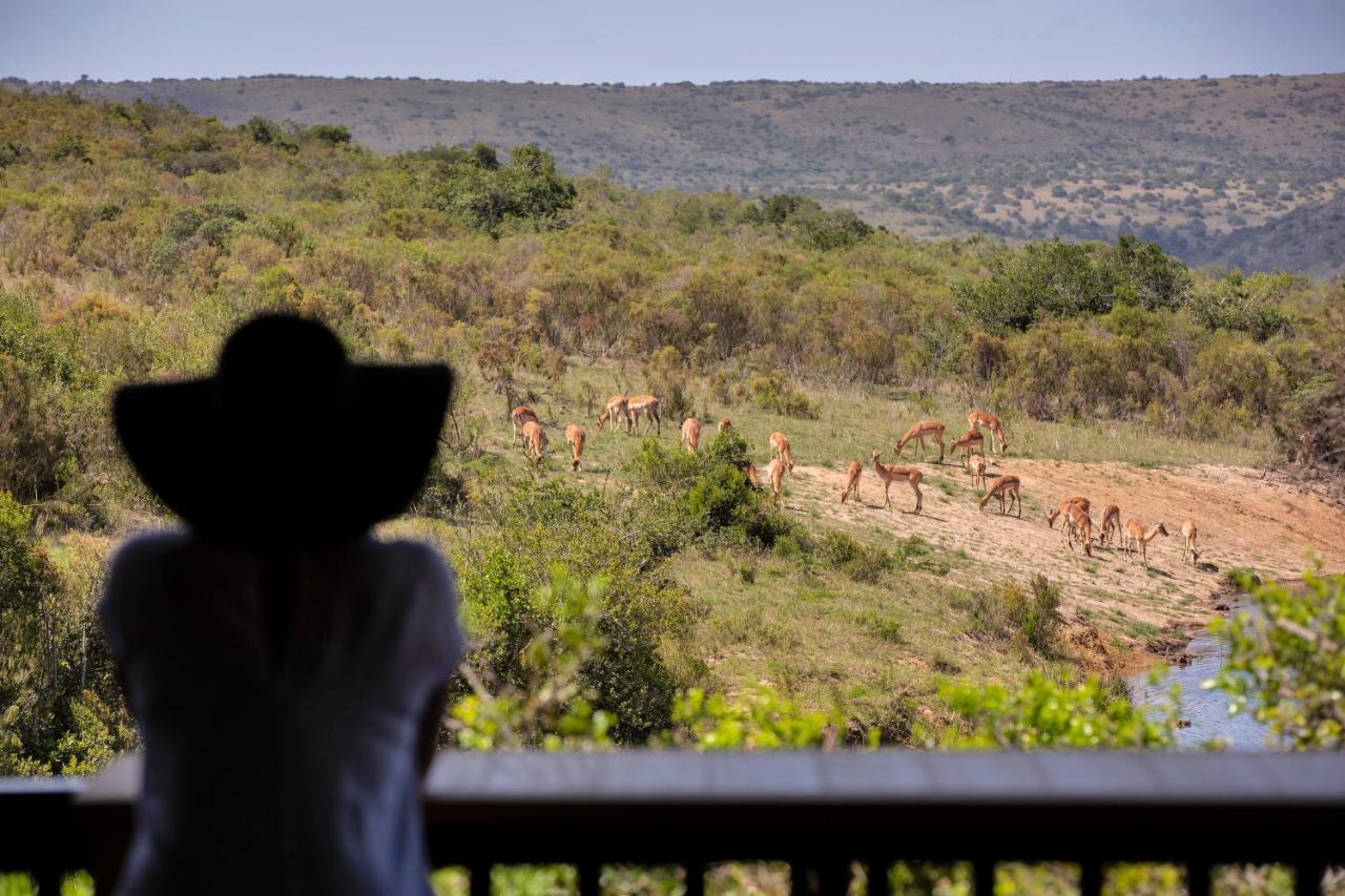 Lalibela Game Reserve - Kichaka Lodge Paterson Exterior foto